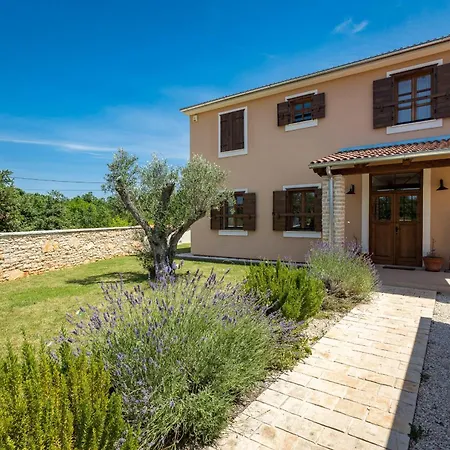 Вилла Cirka In Istria For 14 Persons With A 36 M2 Heated Pool, Gaming & Activities For Kids And Adults Светвинченат